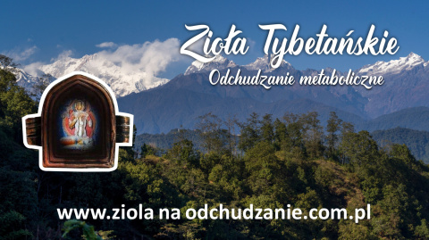 Zioła Tybetańskie " Znhz " na odchudzanie 8 opakowań suszu ziołowego do parzenia. Zioła Tybetańskie " Znhz " na odchudzanie 8 opakowań suszu ziołowego do parzenia.
